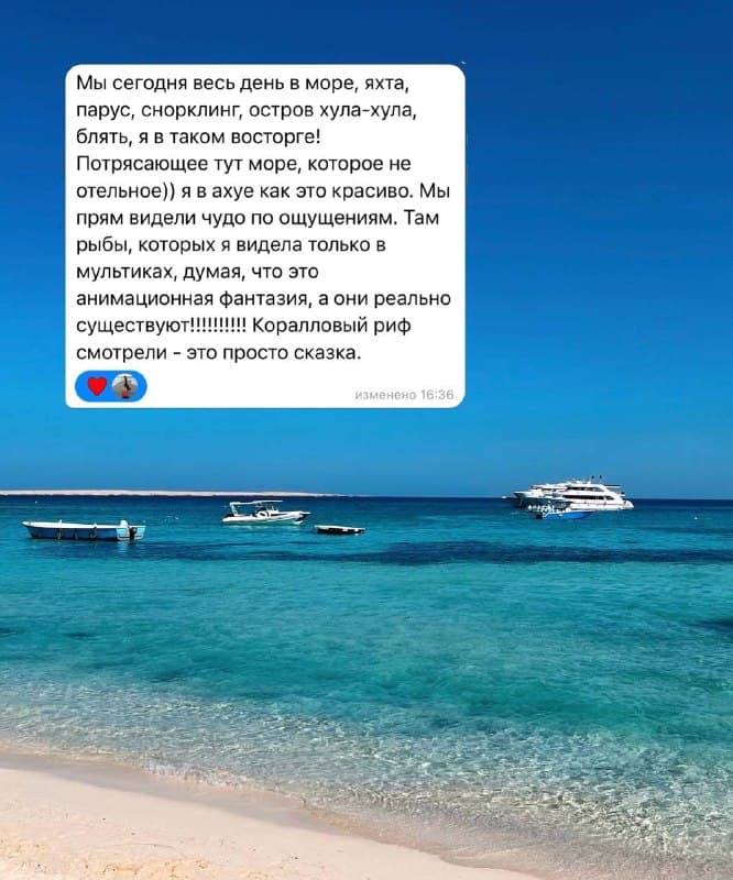 Фрагмент опубликованной переписки с клиентом: Египет